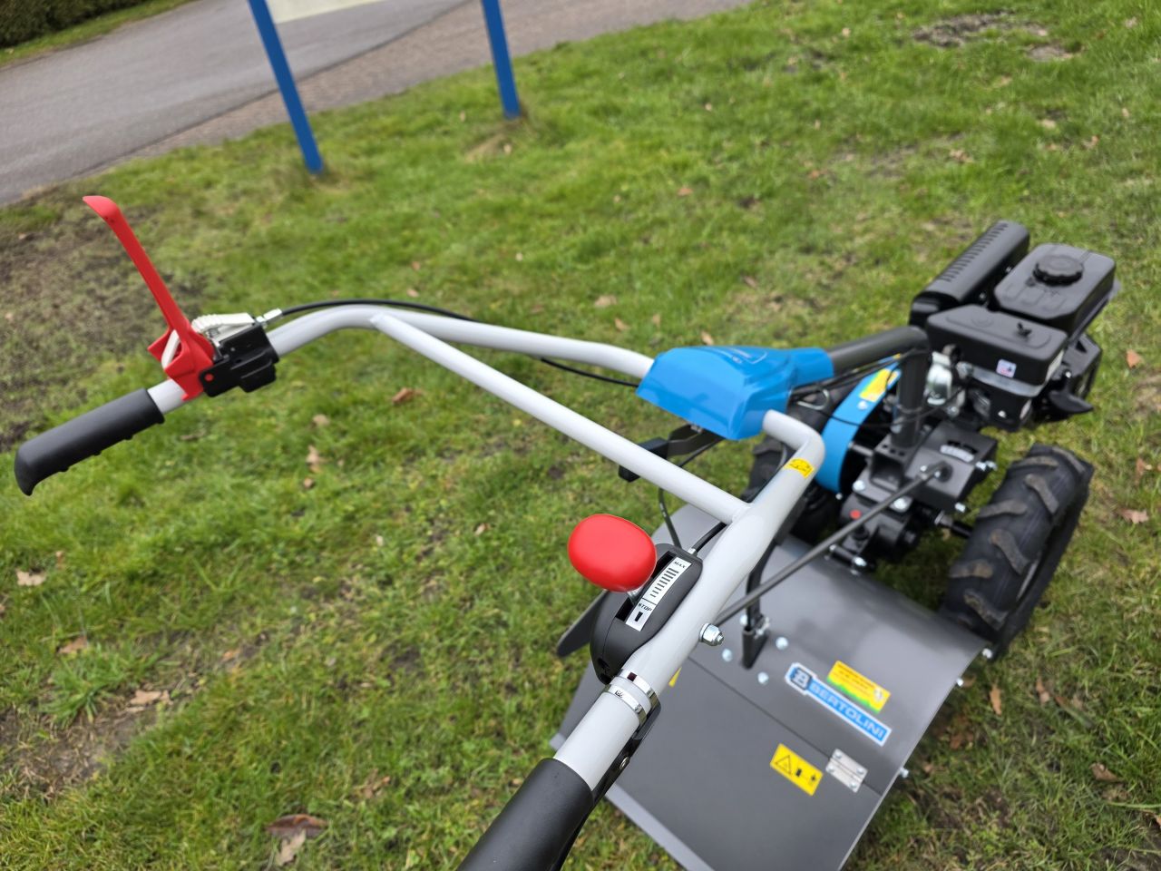 Bertolini Tuinfrees Frees BT350