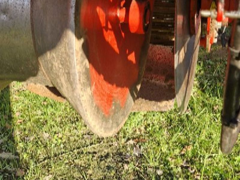 Carlotti Green 650/5