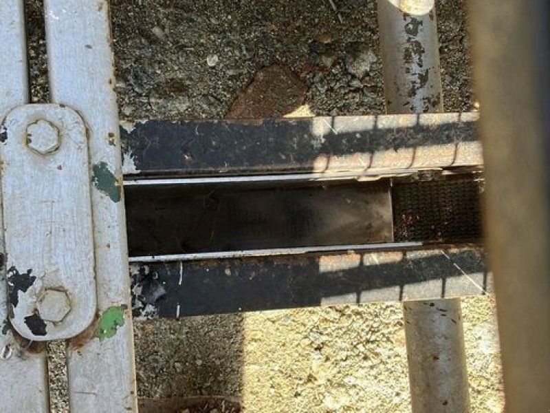 Bänderpflanzmaschine