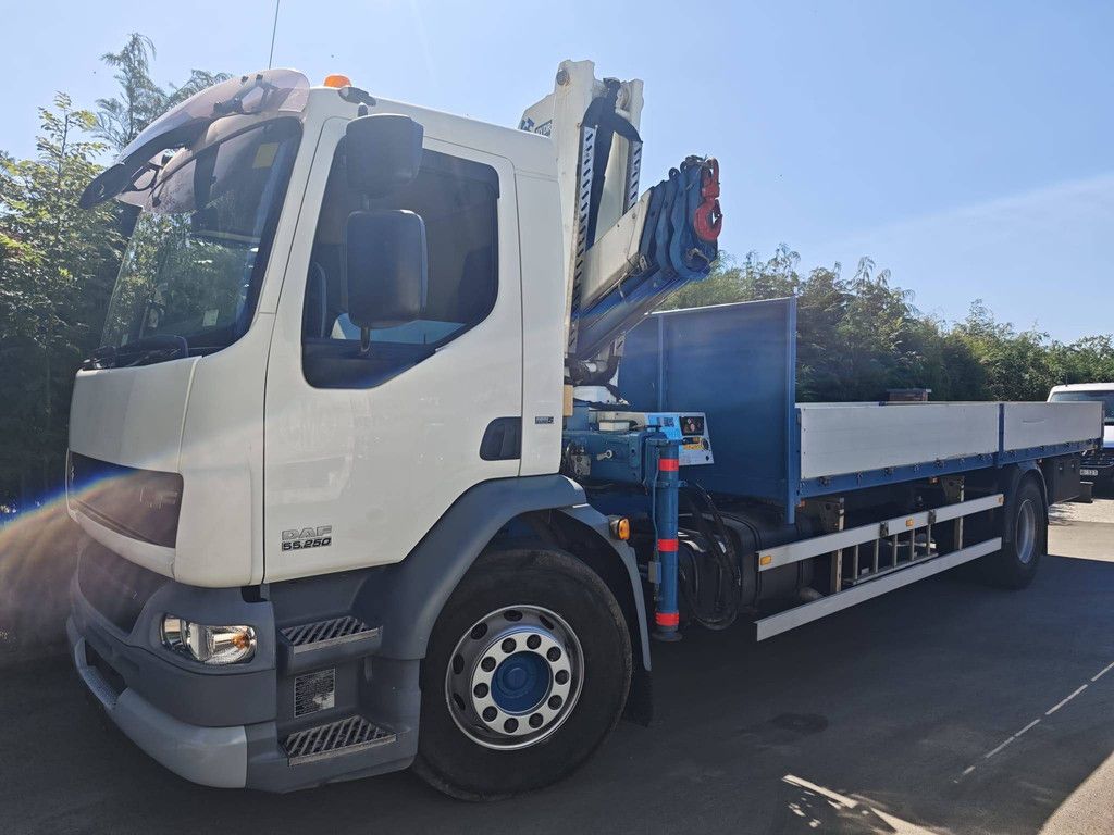Pritschenwagen DAF AE55 LF5-19 Diesel 2008 (Margin)