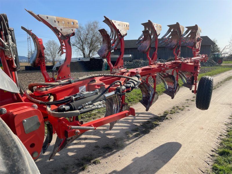 Maschio UNICO BULL M Vario 4+