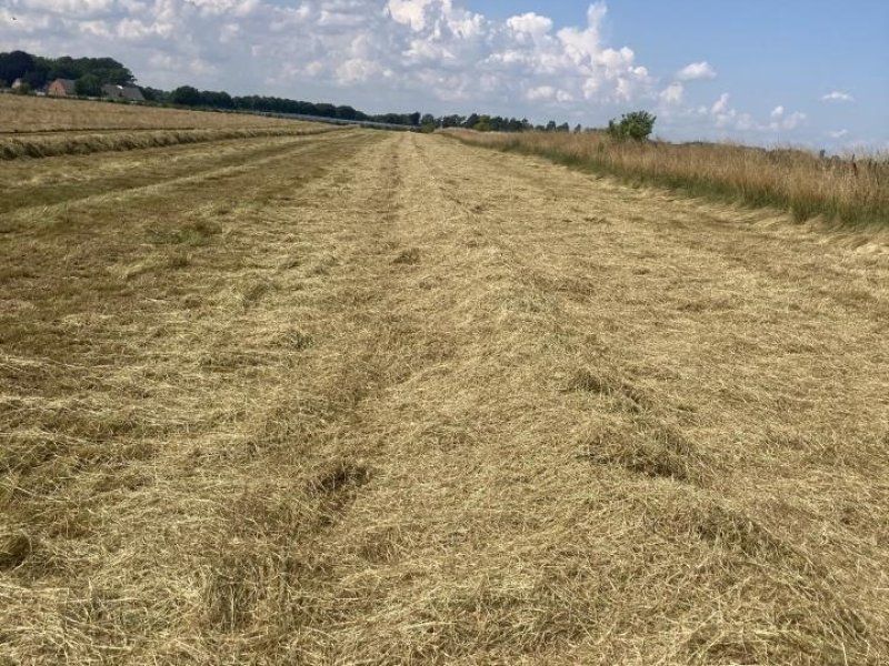 Claas HALMSPREDER