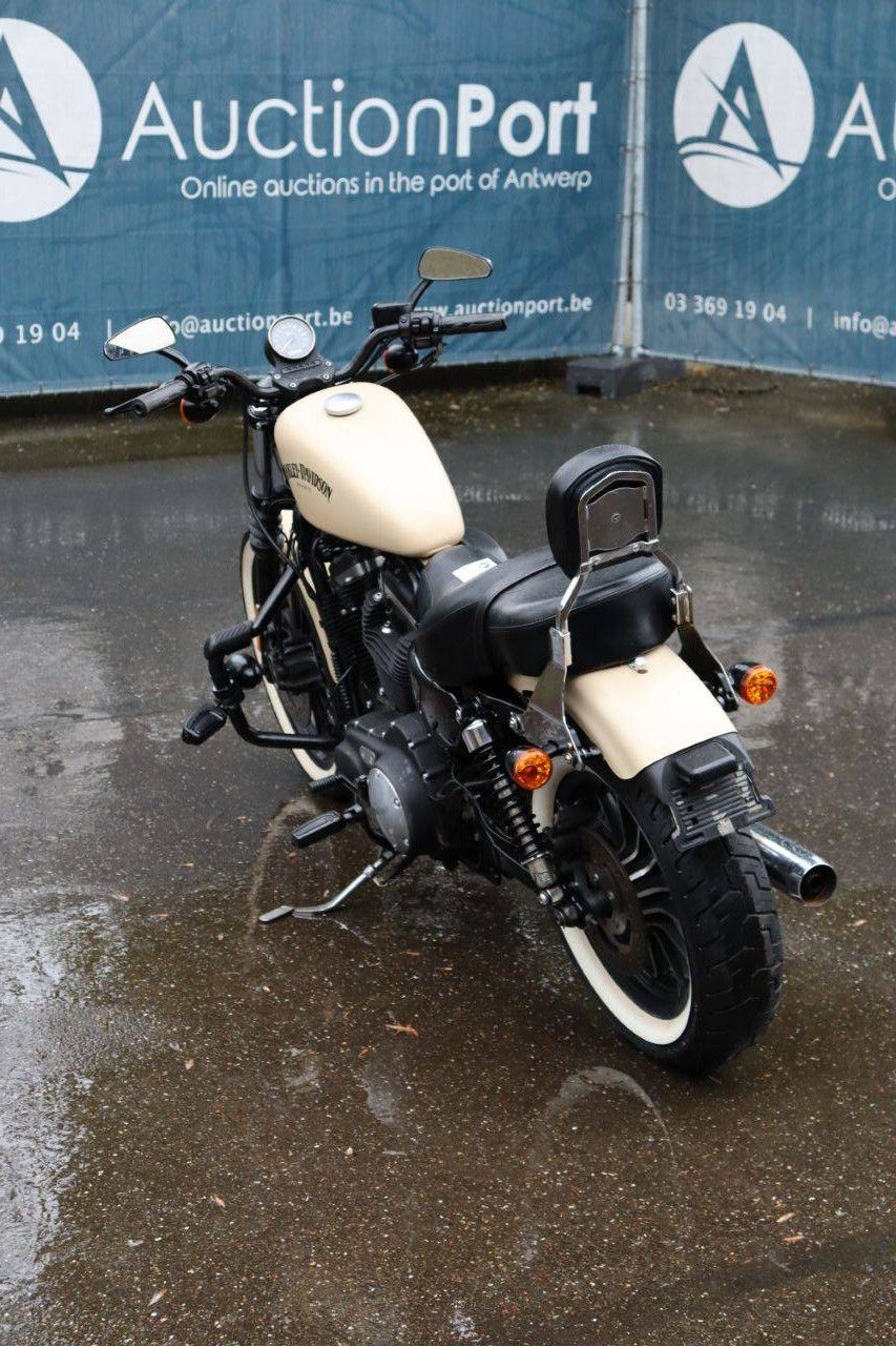 Motorrad Harley-Davidson Sportster XL 883 Iron Benzin 2015