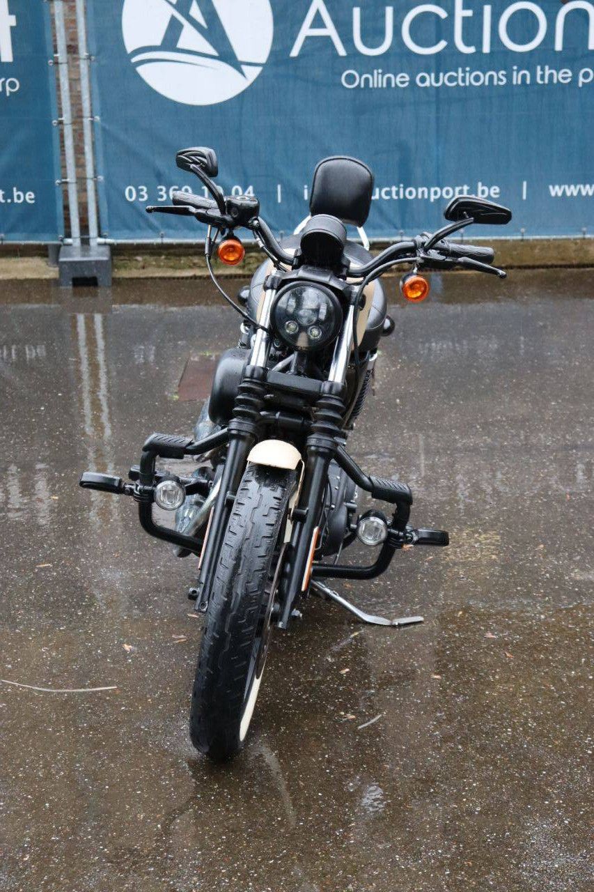 Motorrad Harley-Davidson Sportster XL 883 Iron Benzin 2015