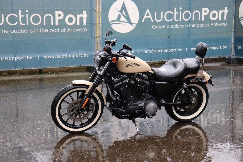 Motorrad Harley-Davidson Sportster XL 883 Iron Benzin 2015
