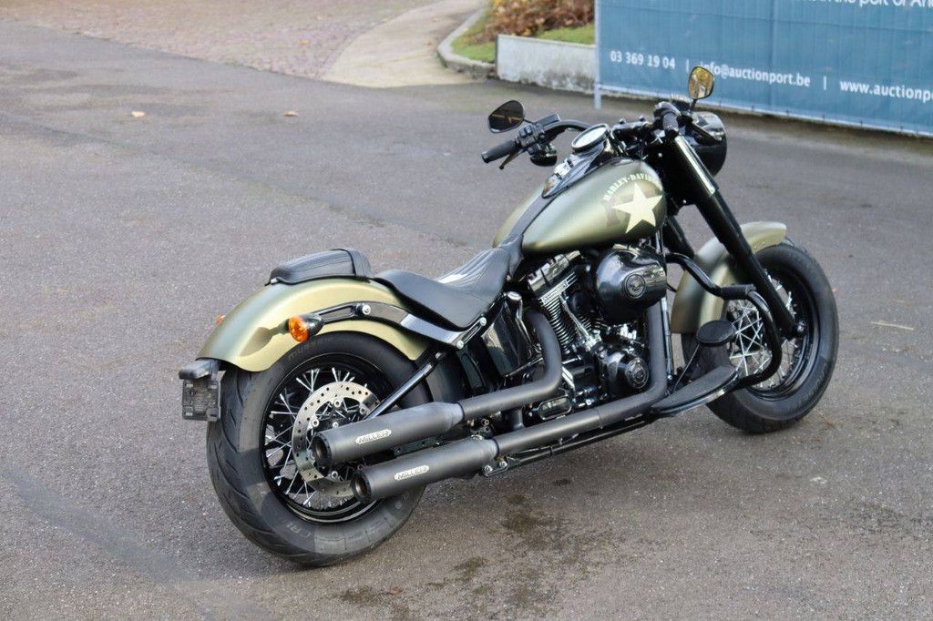 Harley-Davidson Slim S Benzinmotorrad 2016 (Margin)