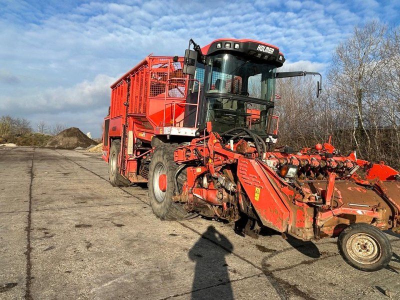 Holmer Terra Dos Terra  dos t2