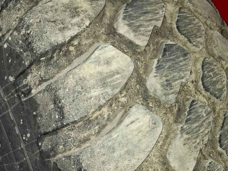 AP GV 28 m/30 m drypfri slangebom