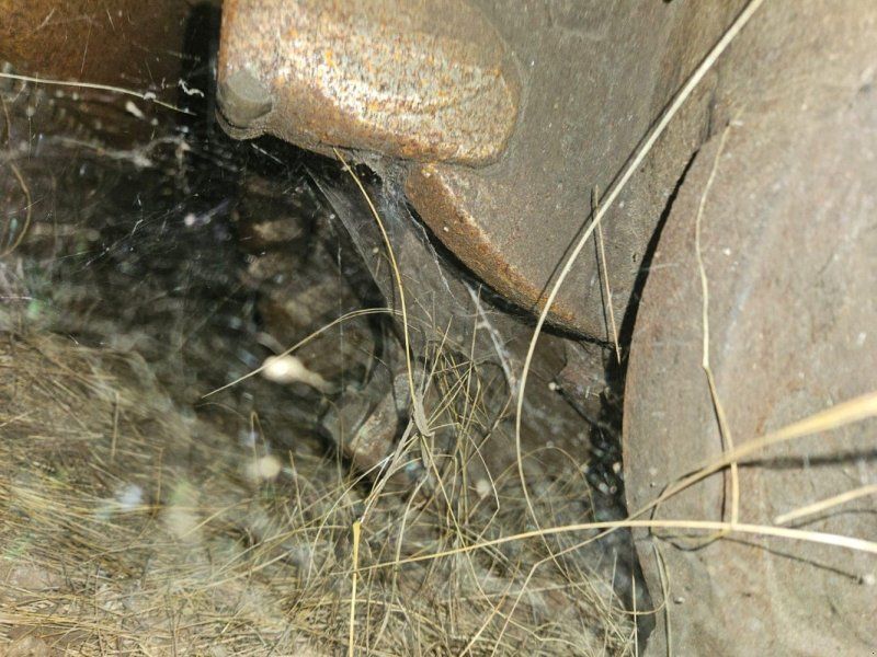 Seppi Starforst 260 Forstmulcher baujahr