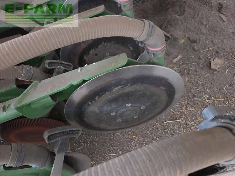 Amazone cirrus 6003-2