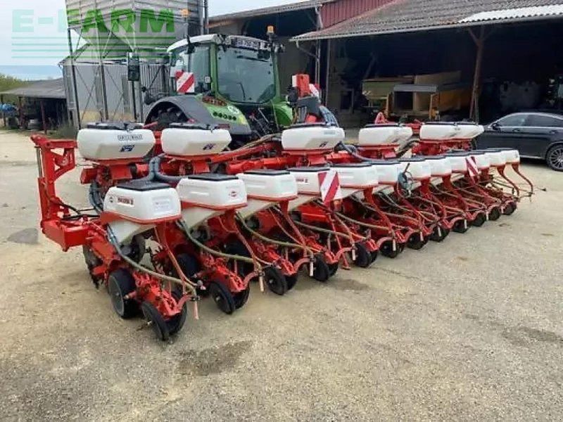 Kuhn maxima 2