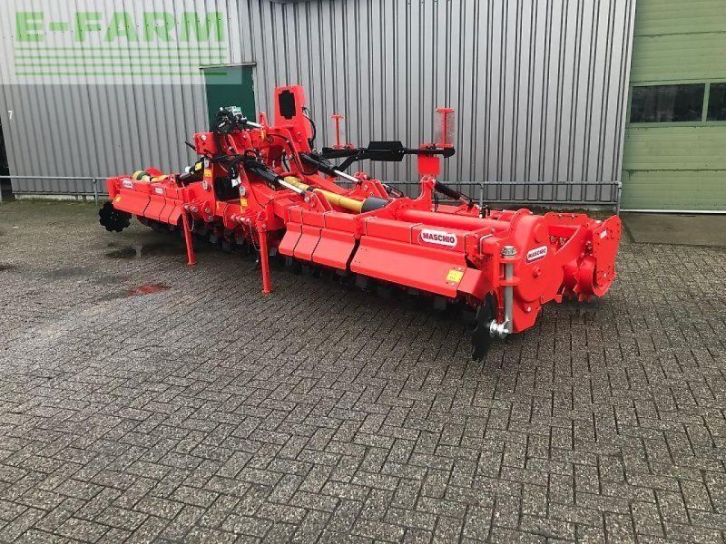 Maschio ga pantera 620