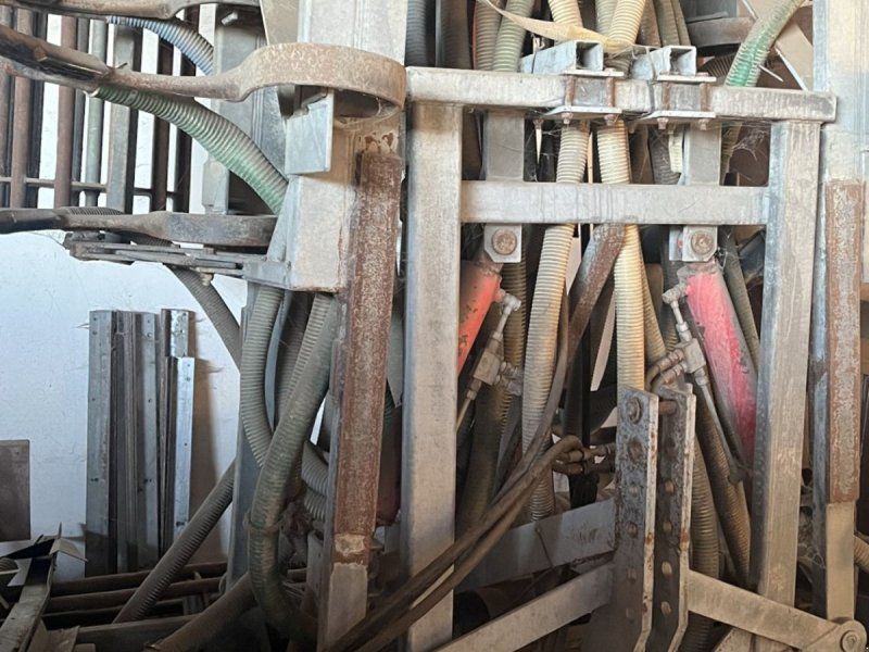 Samson gyllenedfælder