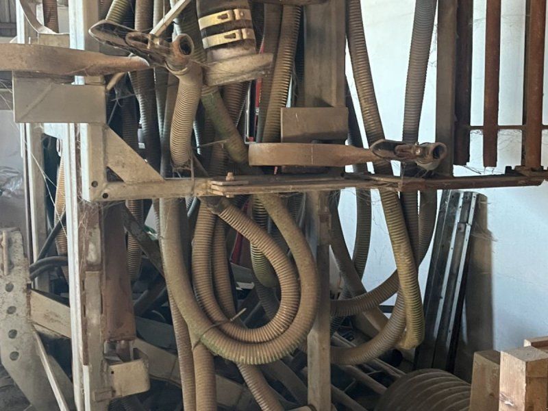 Samson gyllenedfælder