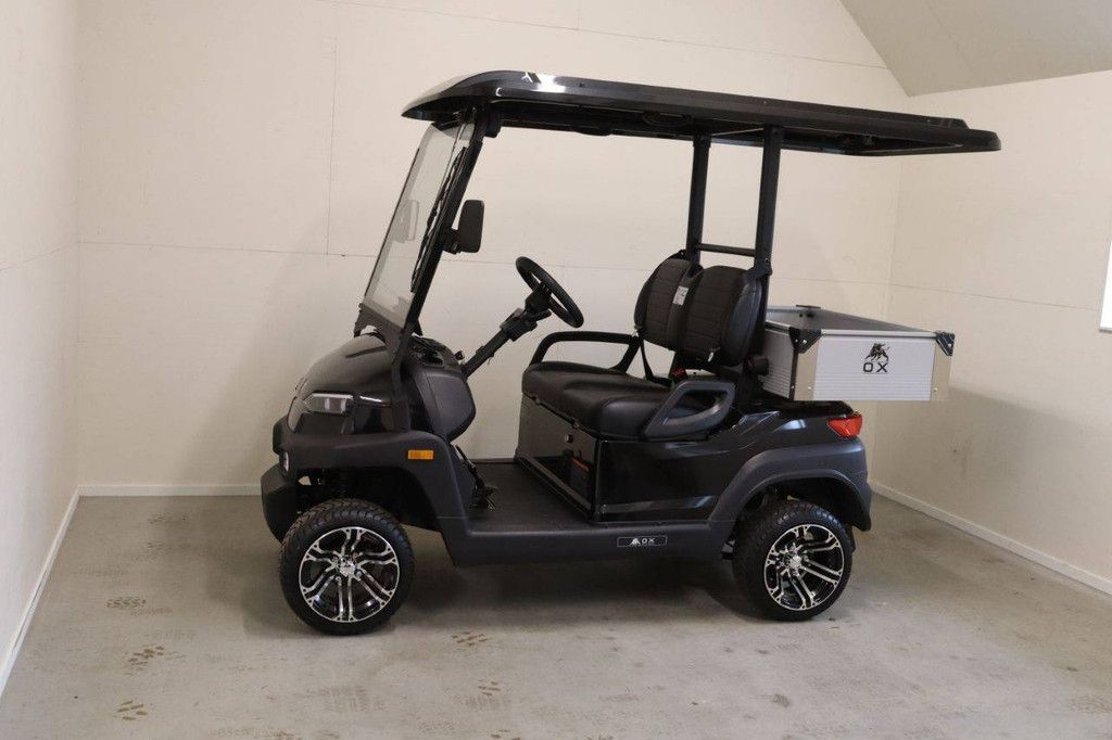 Golf Cart OX ZG2L Electric 4kW 2025 New