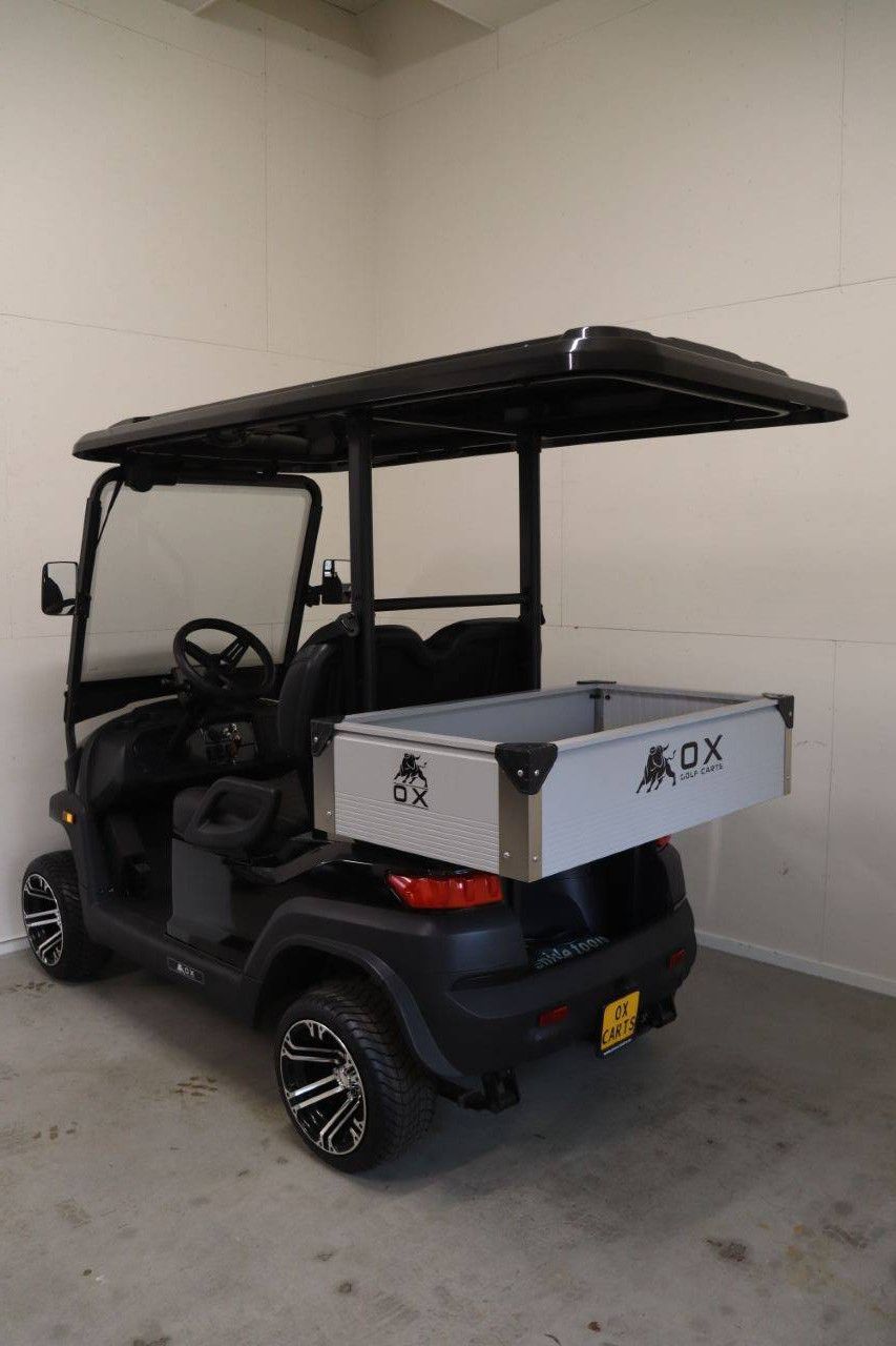 Golf Cart OX ZG2L Electric 4kW 2025 New
