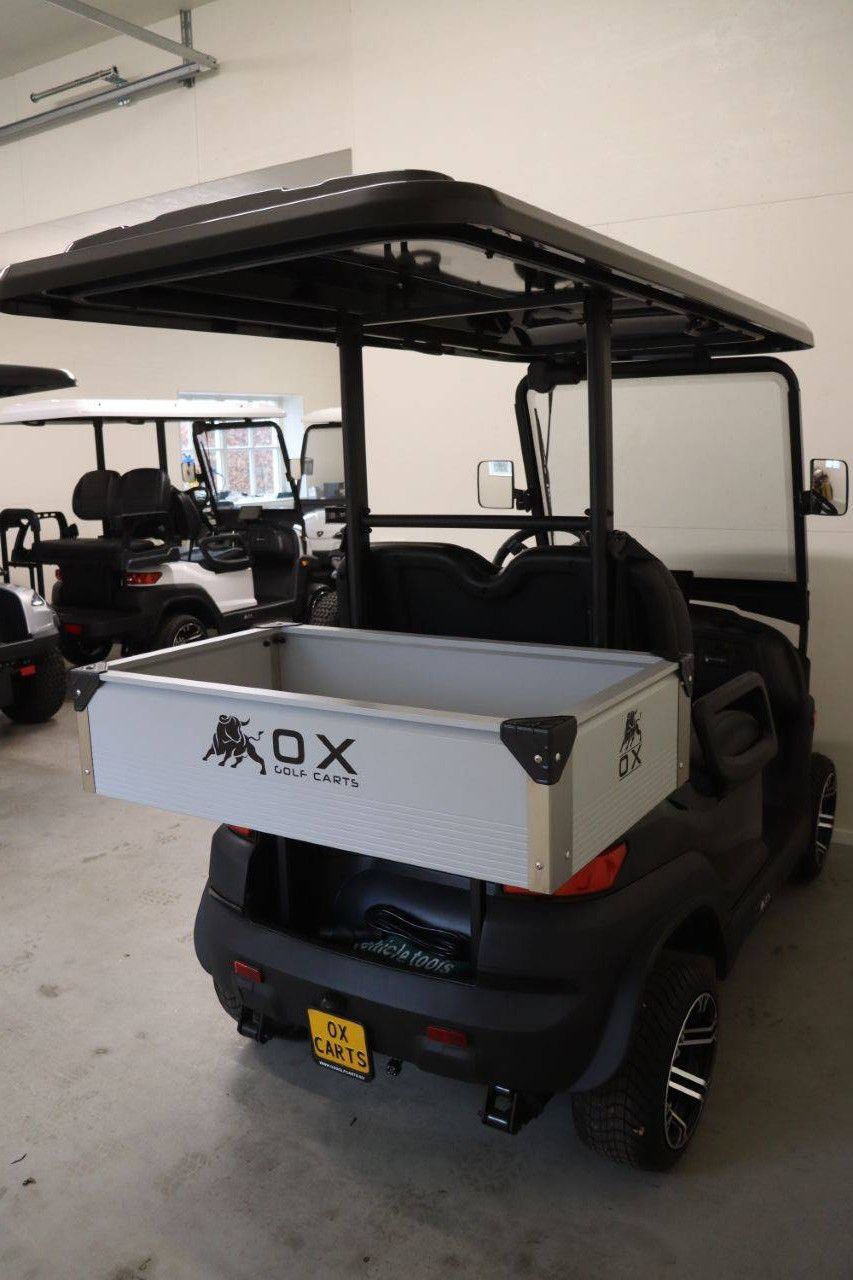 Golf Cart OX ZG2L Electric 4kW 2025 New