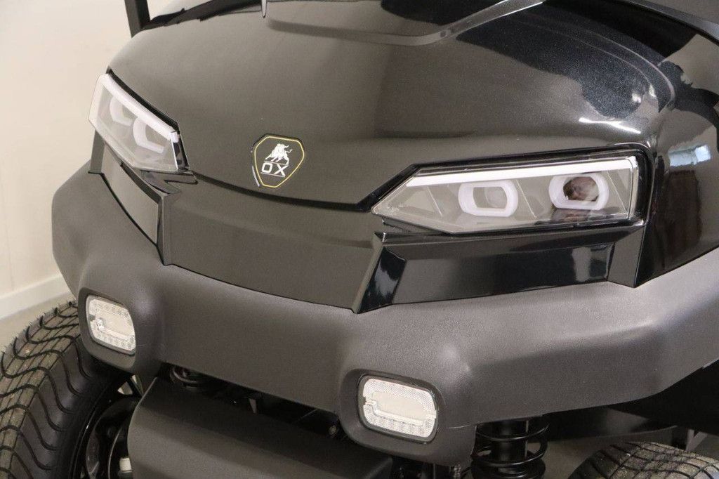 Golf Cart OX ZG2L Electric 4kW 2025 New