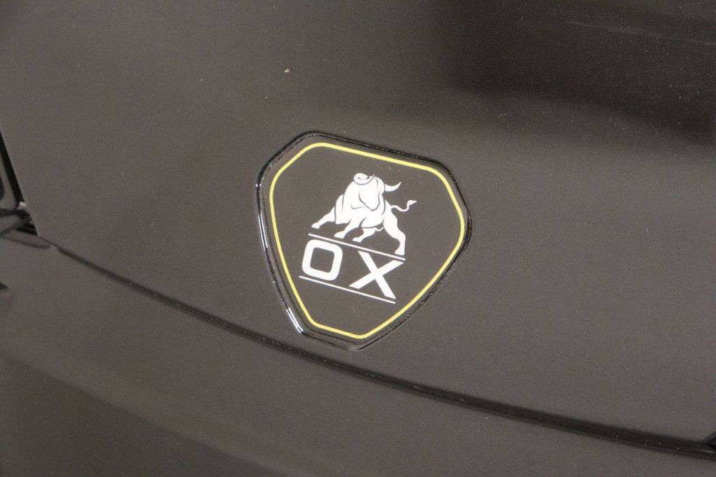 Golf Cart OX ZG2L Electric 4kW 2025 New