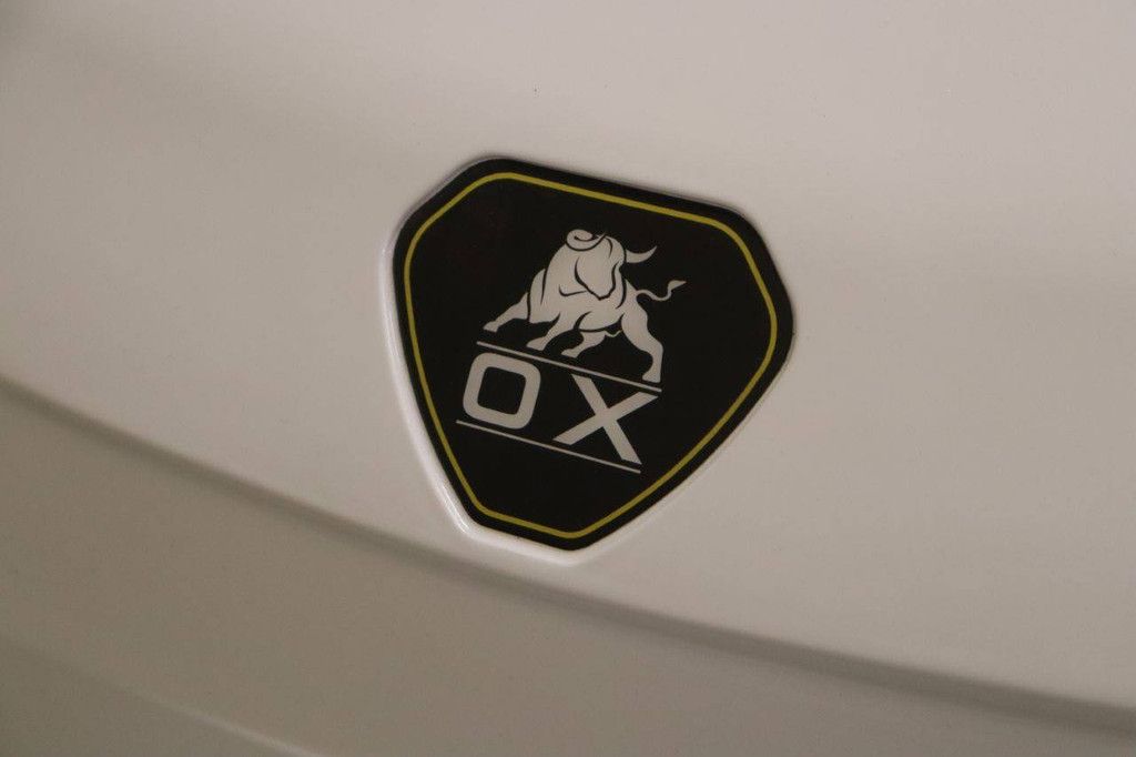 Golf Cart OX ZG4 Electric 4kW 2025 New