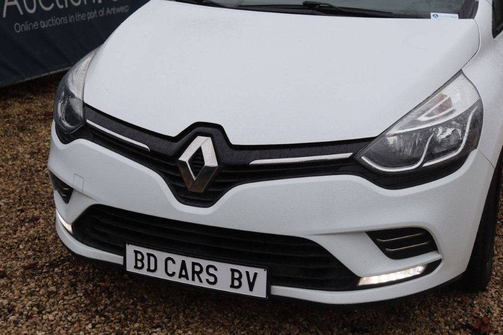 Renault Clio Benzin-Pkw 2019 (Marge)