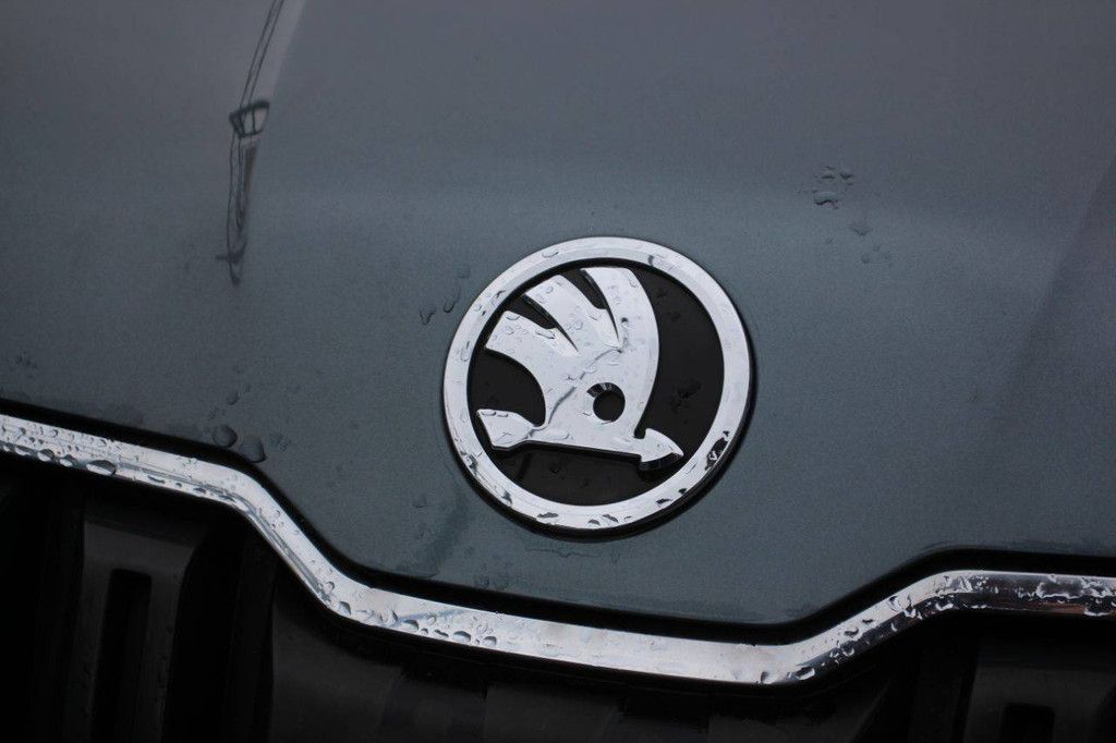 Passenger car &Scaron;koda Kodiaq 1.5 TSI Ambition Business Petrol 110kW 2018 (Margin)