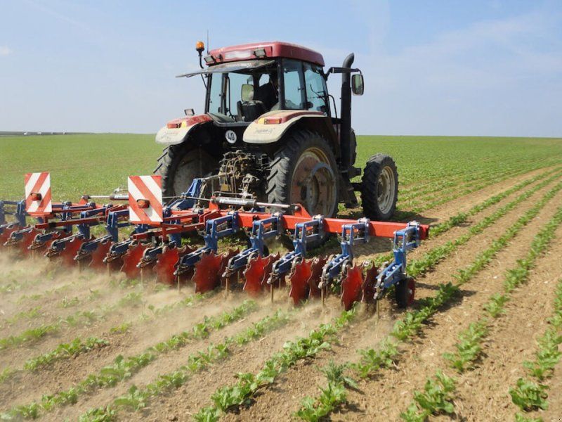 Hatzenbichler 12R6MF 50 cm Roer/Raps/Spinat