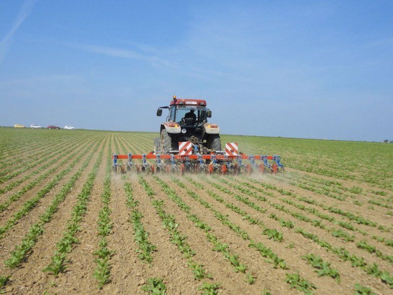 Hatzenbichler 12R6MF 50 cm Roer/Raps/Spinat