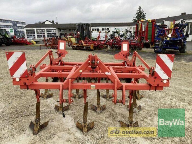 Maschio TERREMOTO 300