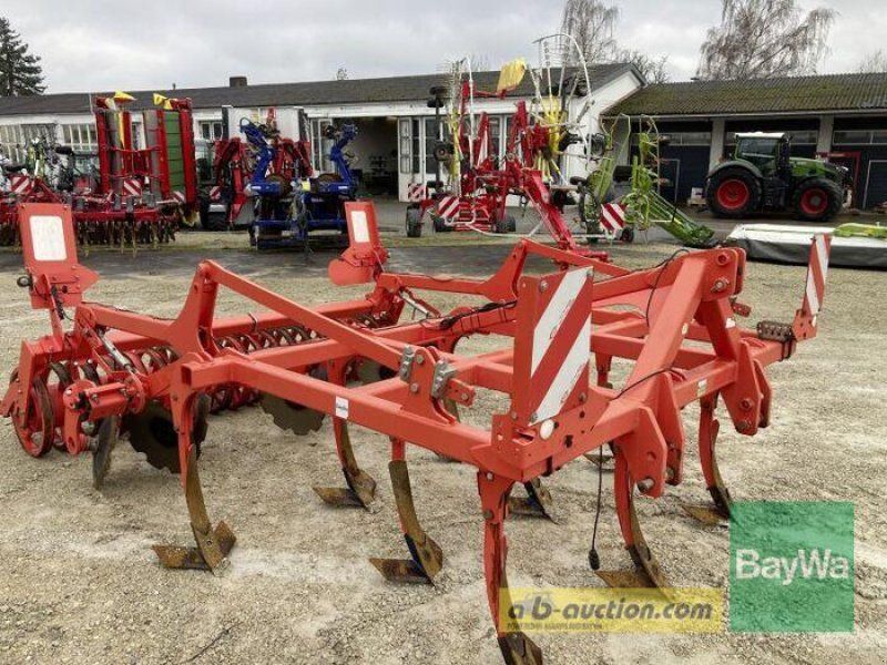 Maschio TERREMOTO 300