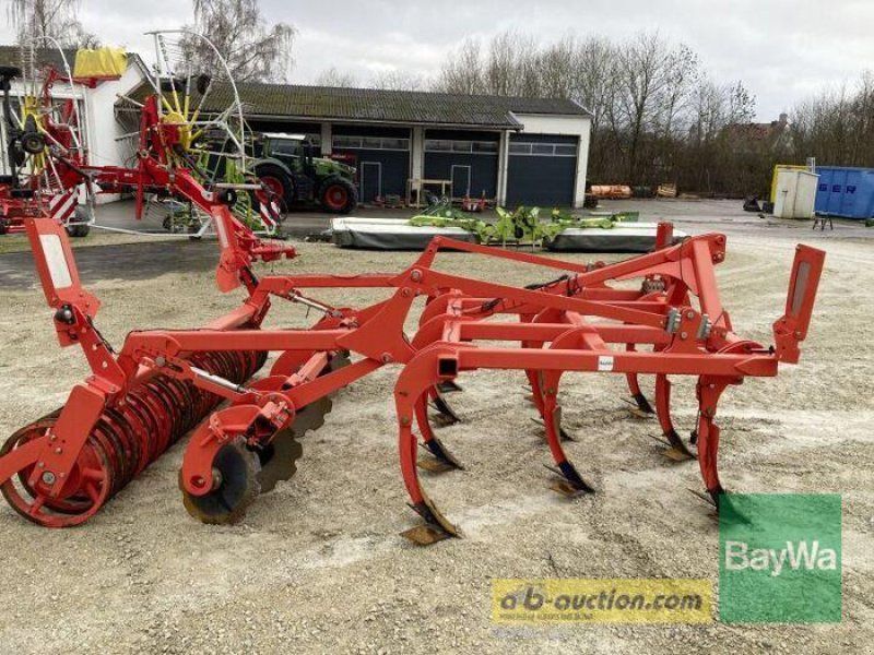 Maschio TERREMOTO 300