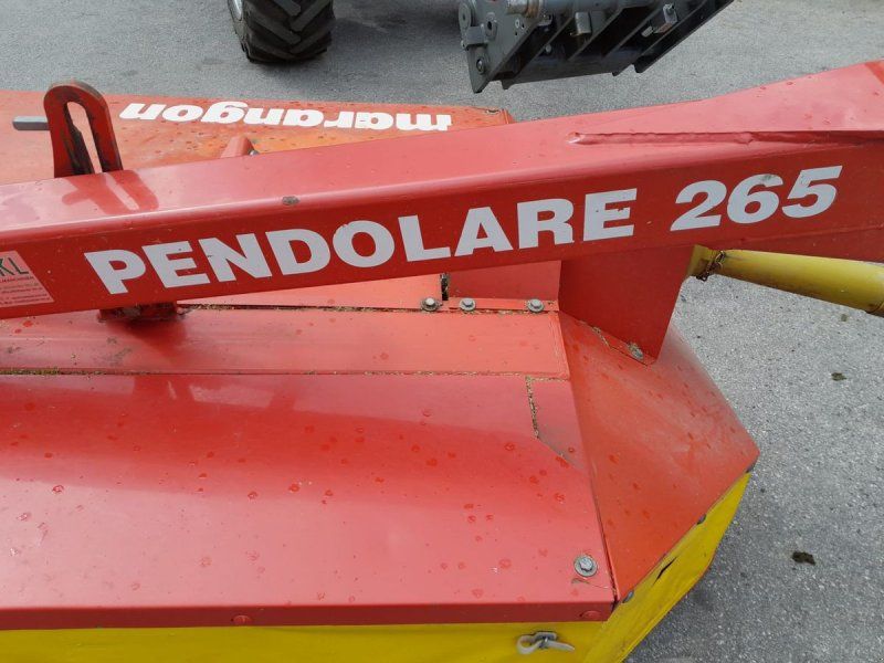 Marangon Pendolare 265