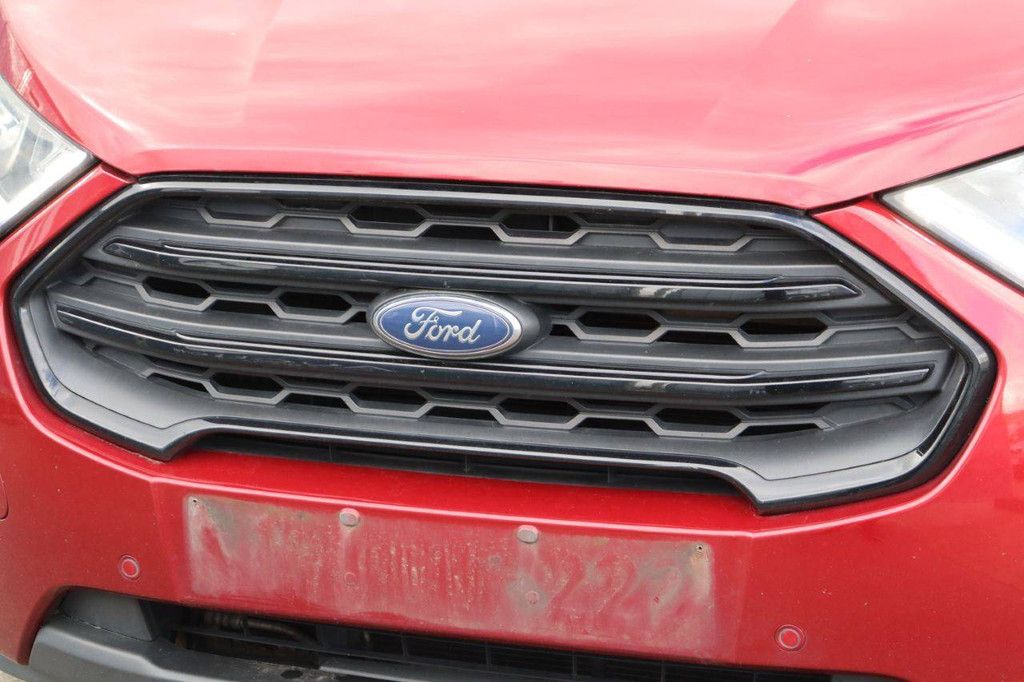 Passenger car Ford Ecosport Petrol 125hp 2018 (Margin)