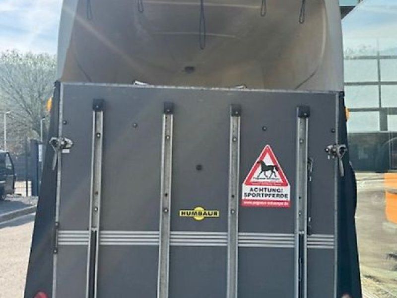 Humbaur Rapid 2-Pferde Holz/Poly SK DS 2t.