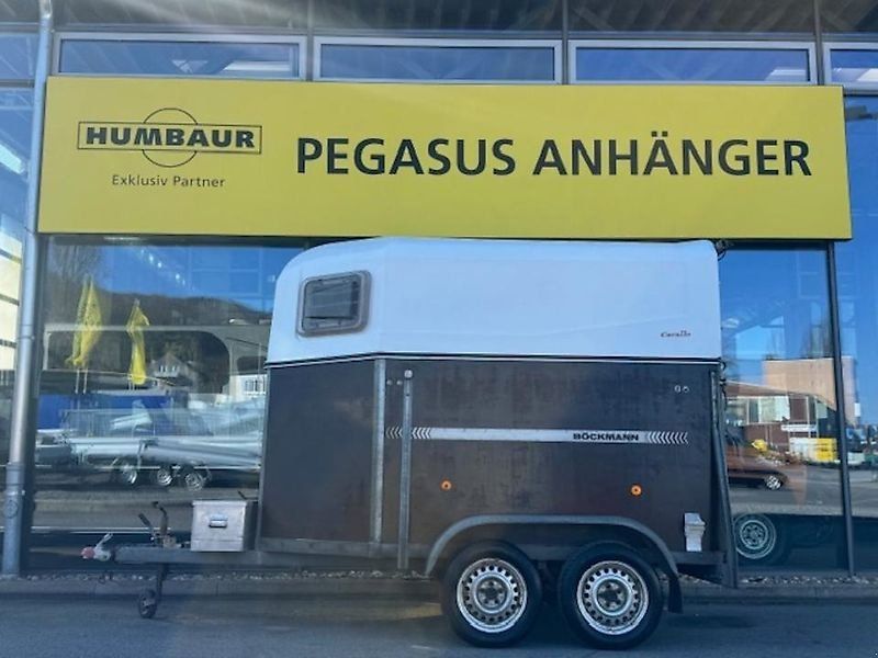 2 Pferde Holz/Poly 2t.