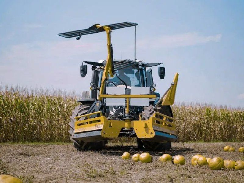 Ascon3 Kürbisschieber Polyliner