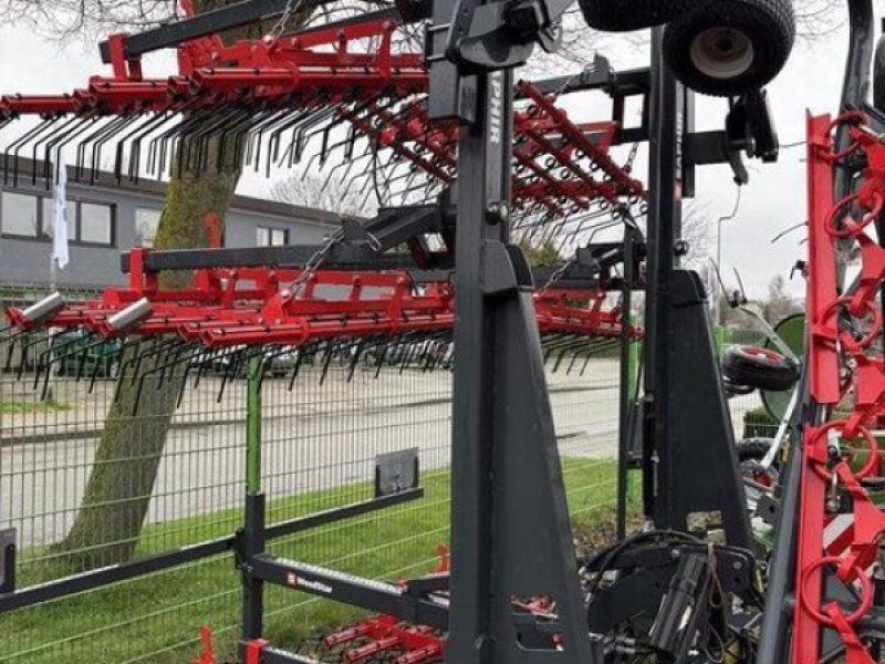 Saphir Striegel WS 900