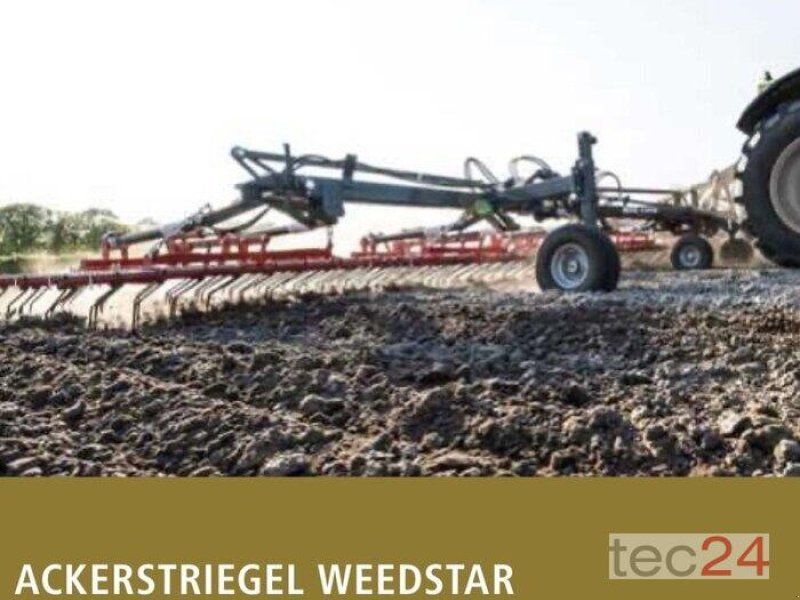 Saphir Striegel WS 900