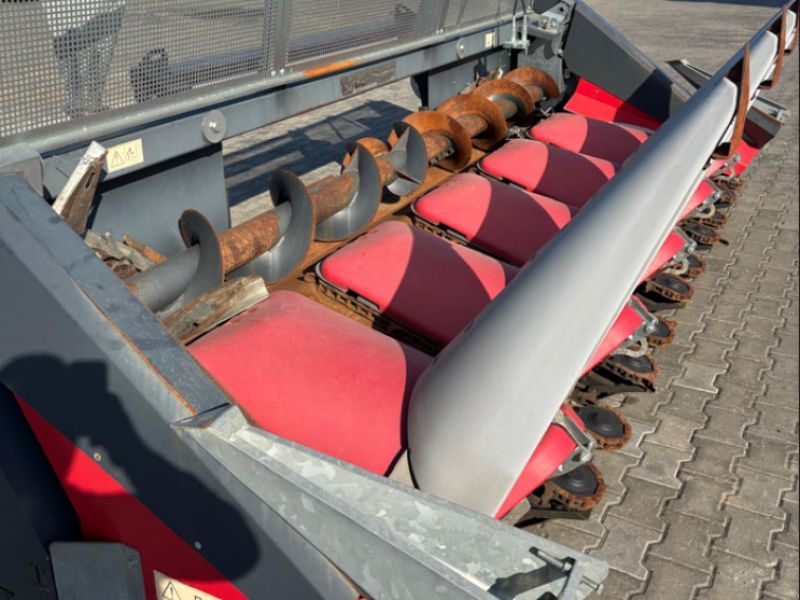 Dominoni Kaiman S 966B