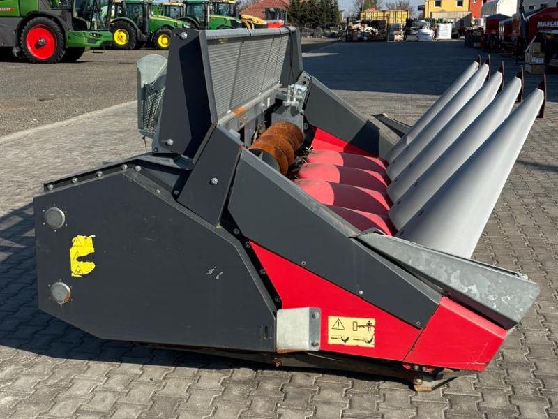 Dominoni Kaiman S 966B