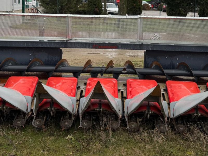 Dominoni Kaiman S978 B