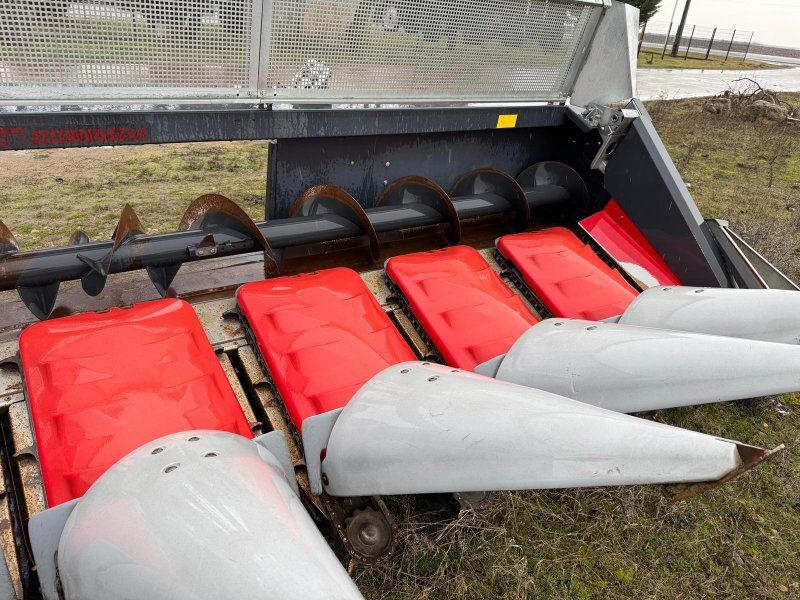 Dominoni Kaiman S978 B