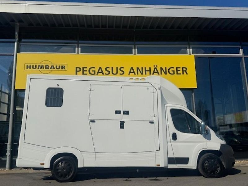 Fiat Ducato 2 Pferdeer Honorio Verso EQ2 3,5t. 71.100 km