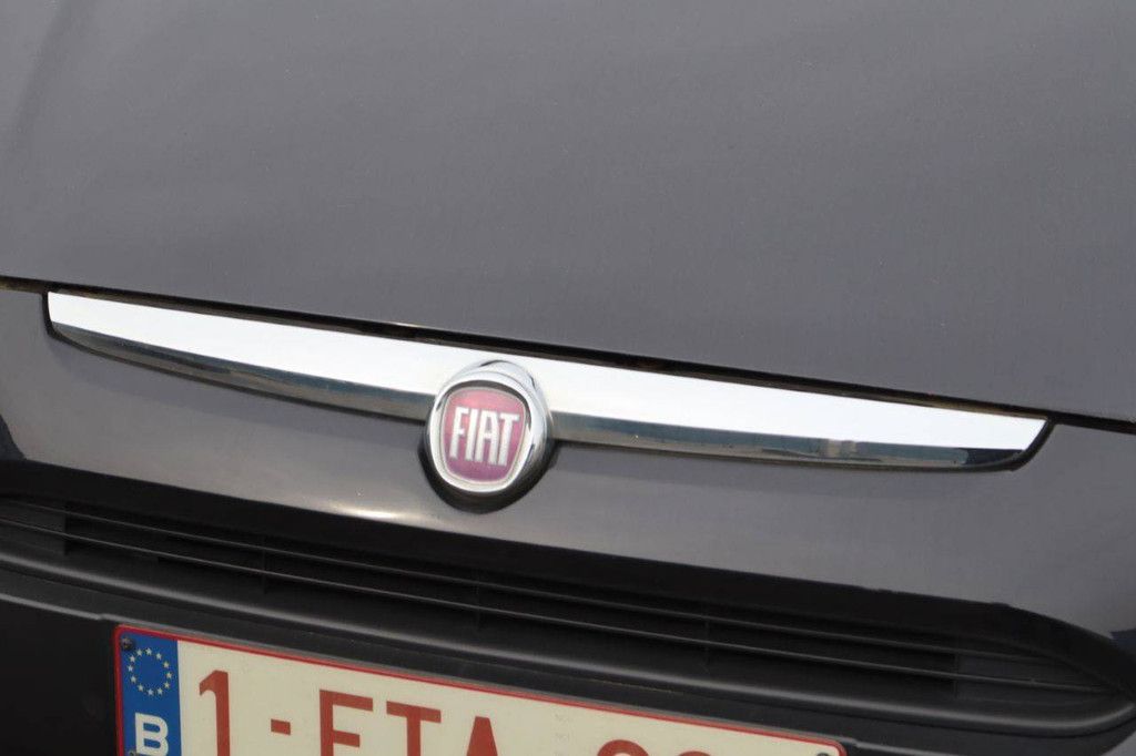 Pkw Fiat Punto Benzin 65 PS 2010 (Marge)