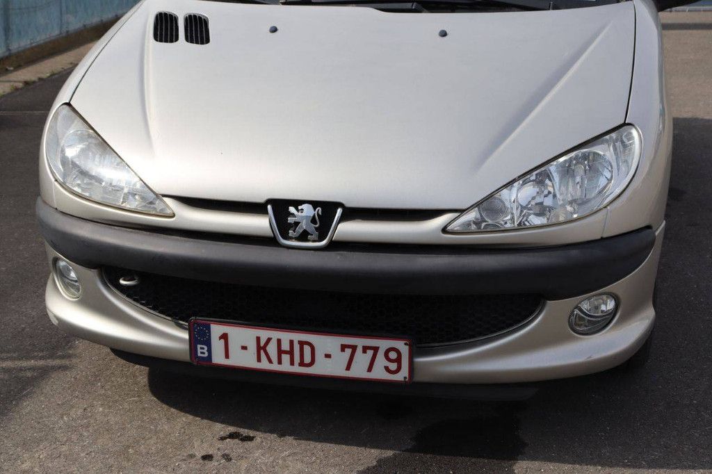 Passenger car Peugeot 206 Petrol 75hp 2006 (Margin)