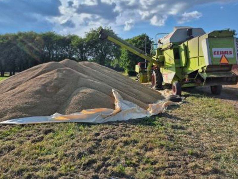 Claas Dominator 76 med snitter og mercedes motor. 13 fods.