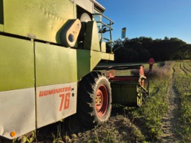 Claas Dominator 76 med snitter og mercedes motor. 13 fods.