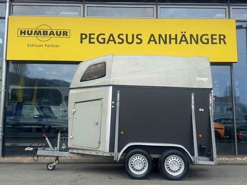 Sluis PTS Stinger 2 Pferde Aluboden !Neuer Aufbau! SK 2t.