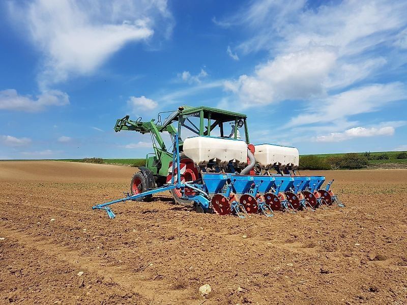 Monosem Einzelkorn / 6-Reihig / 6-Reihen / Mais / Drille