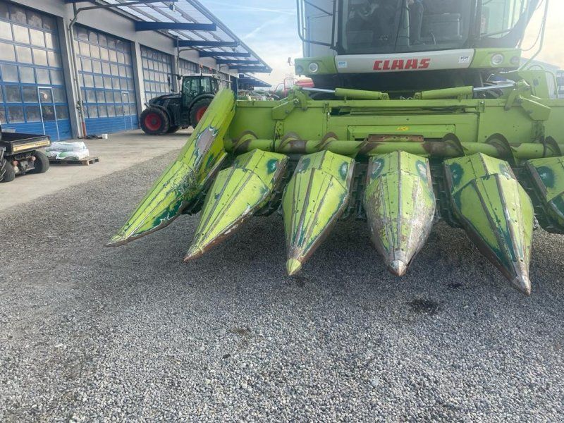Claas Maispflücker 6 75 SL Orossystem